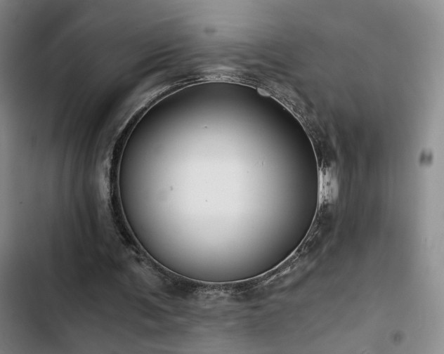 X0000103220291200808281414