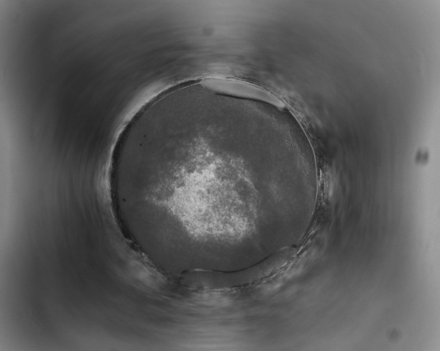 X0000103220292200808281414