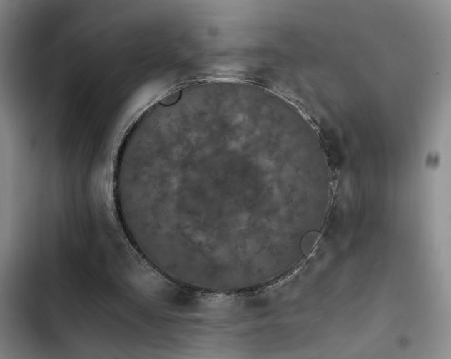 X0000103220293200808281414