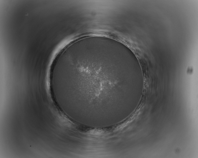 X0000103220294200808281414