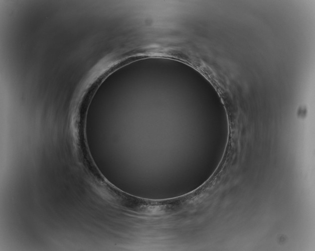 X0000103220295200808281414