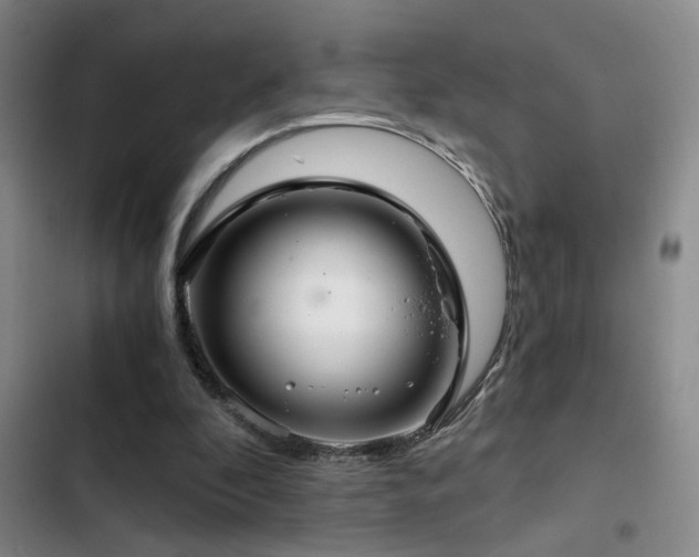 X0000103220296200808281414