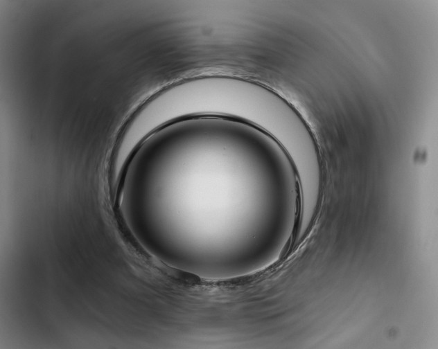 X0000103220297200808281414