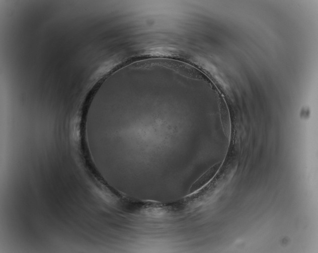 X0000103220299200808281414