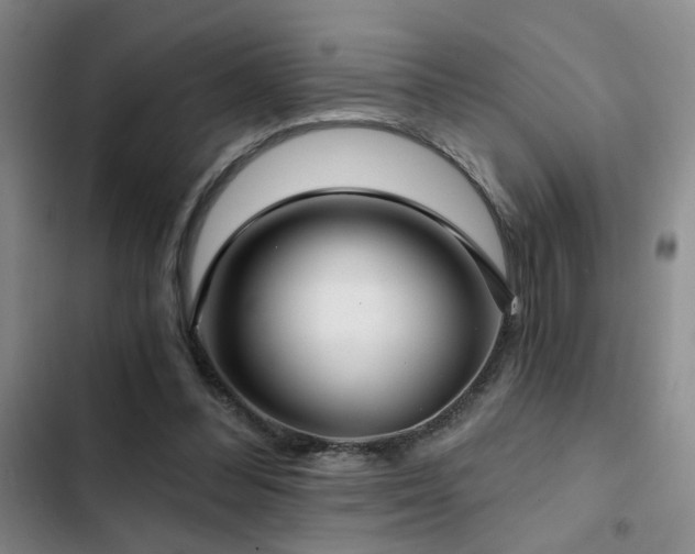 X0000103220300200808281414