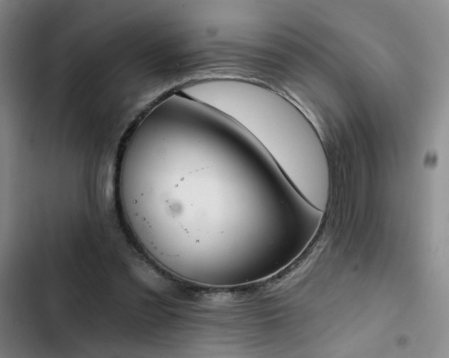 X0000103220301200808281414