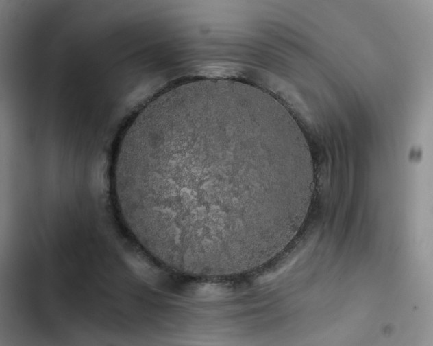 X0000103220303200808281414