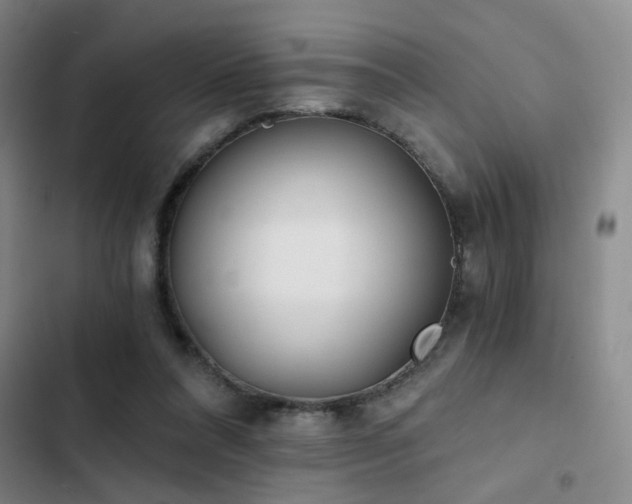 X0000103220304200808281414