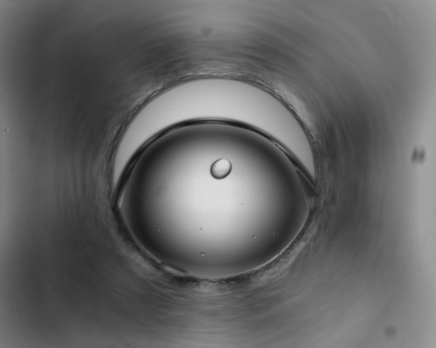 X0000103220305200808281414