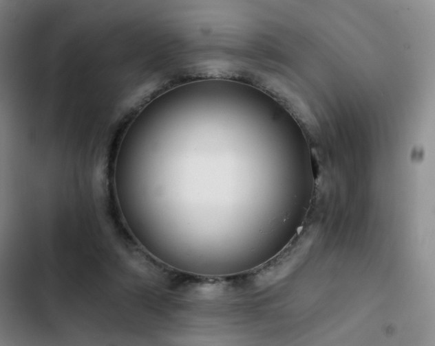 X0000103220306200808281414