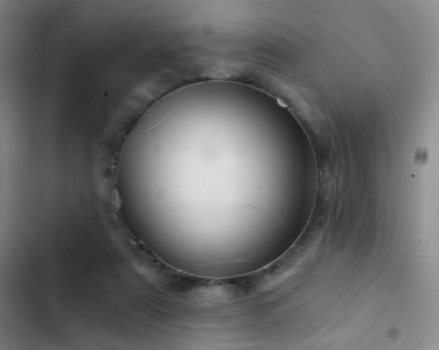 X0000103220307200808281414