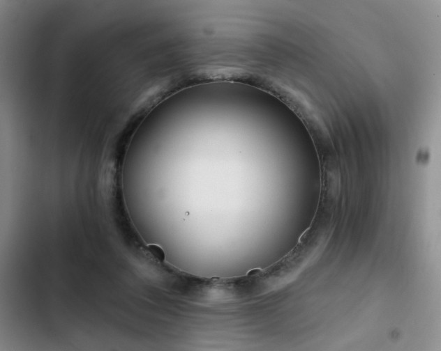 X0000103220308200808281414