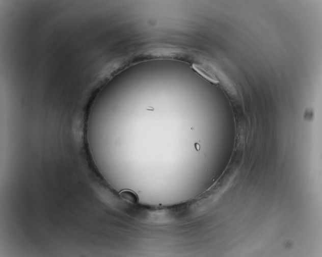 X0000103220309200808281414