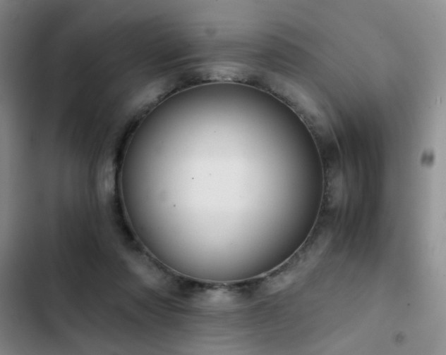 X0000103220310200808281414