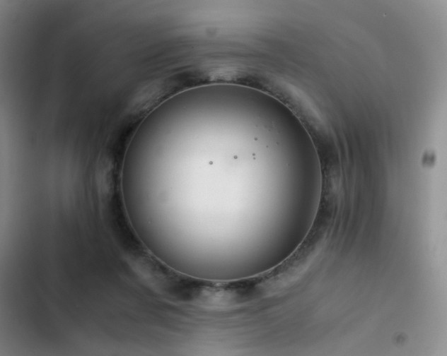 X0000103220311200808281414