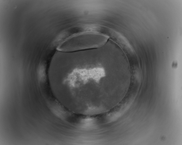 X0000103220312200808281414