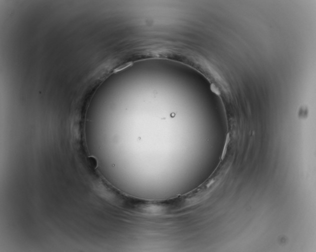 X0000103220313200808281414