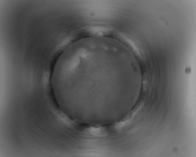 X0000103220314200808281414