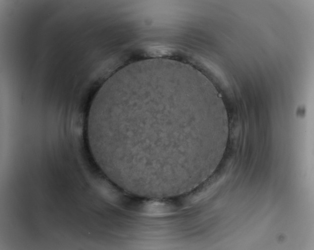 X0000103220315200808281414