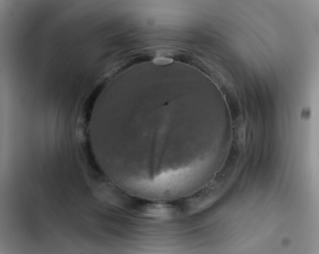 X0000103220316200808281414