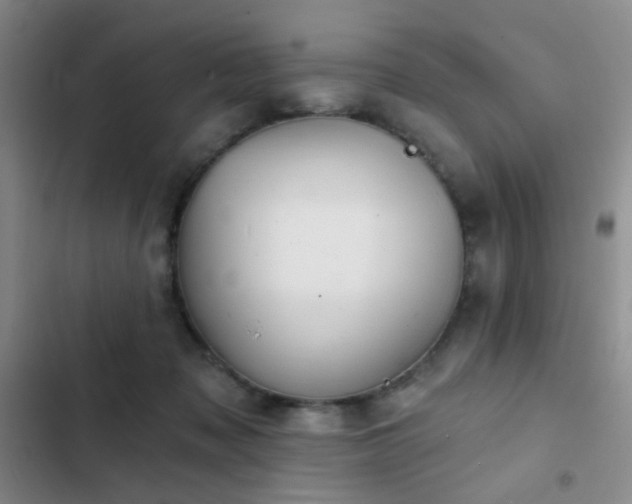 X0000103220317200808281414