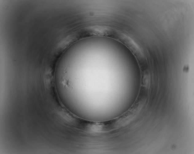 X0000103220318200808281414