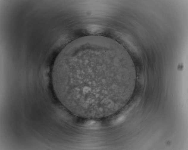 X0000103220319200808281414