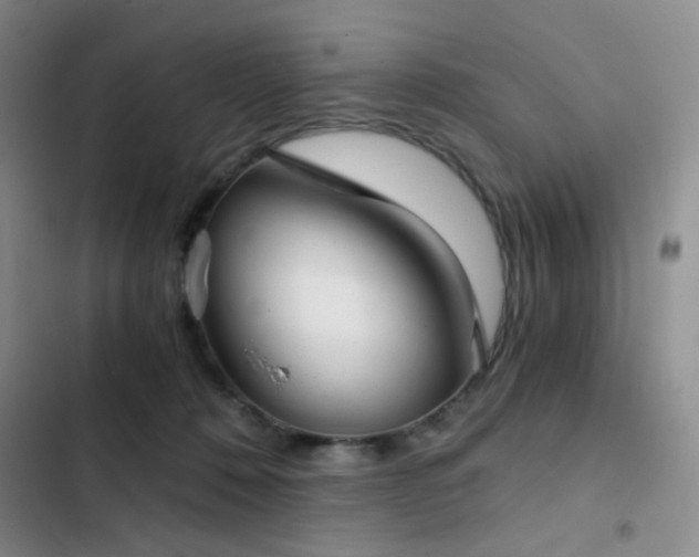 X0000103220320200808281414