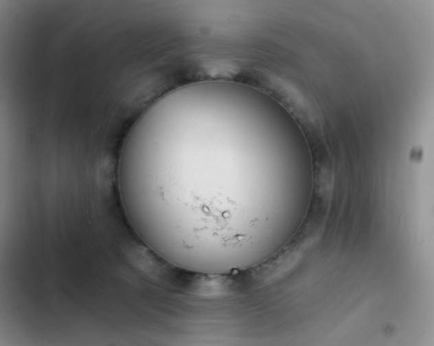 X0000103220321200808281414