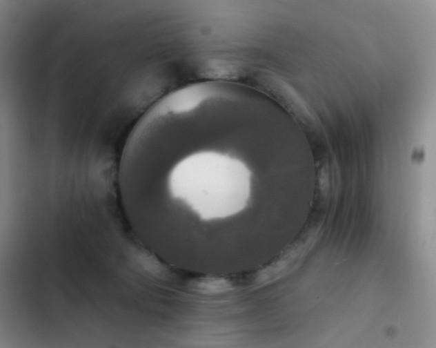 X0000103220322200808281414