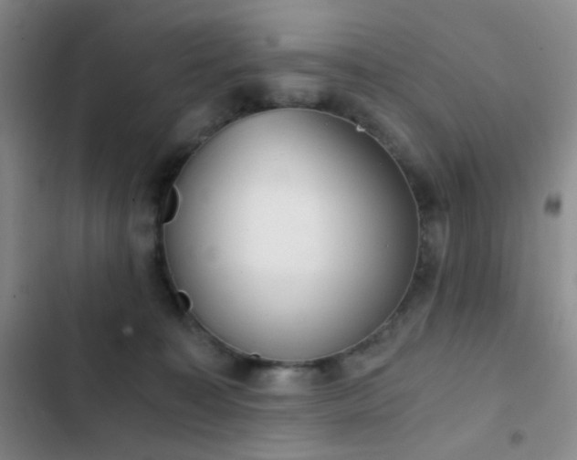 X0000103220323200808281414