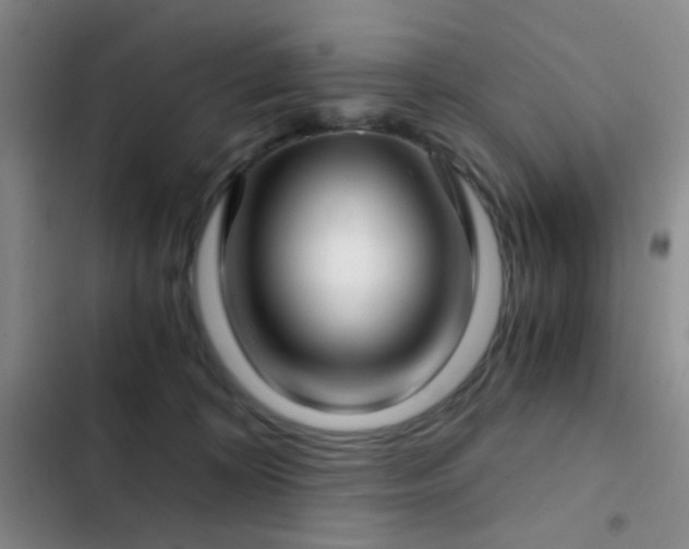 X0000103220324200808281413