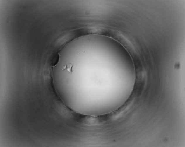 X0000103220325200808281413