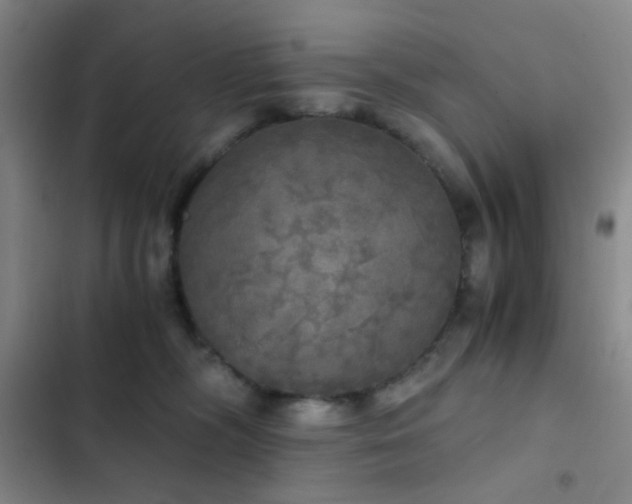 X0000103220326200808281413