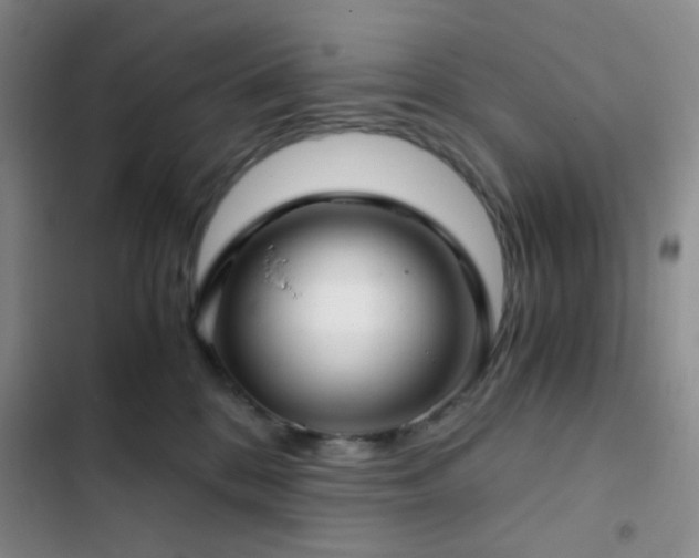 X0000103220328200808281413