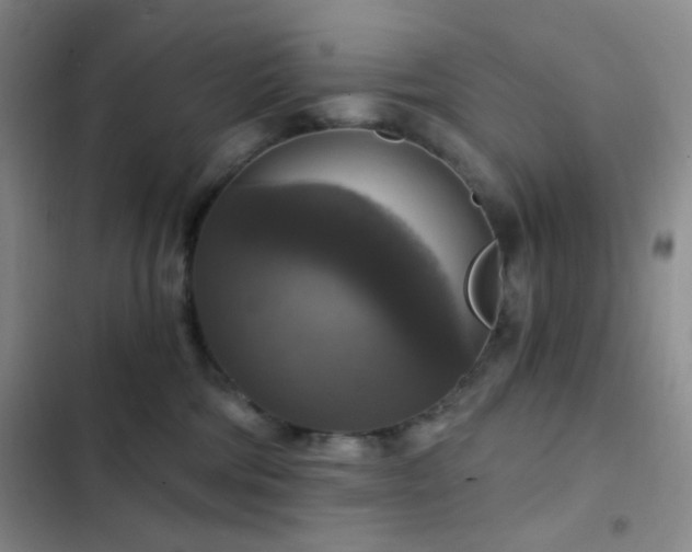 X0000103220330200808281413