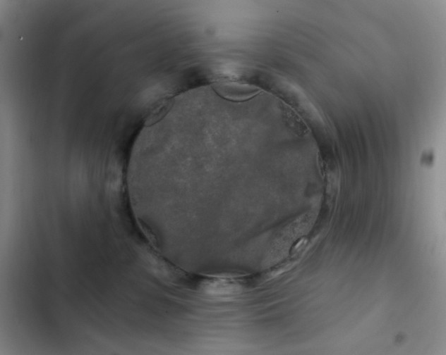 X0000103220331200808281413