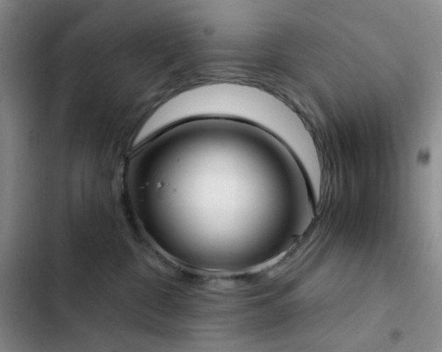 X0000103220332200808281413