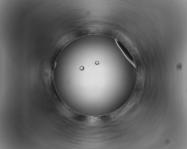 X0000103220333200808281413