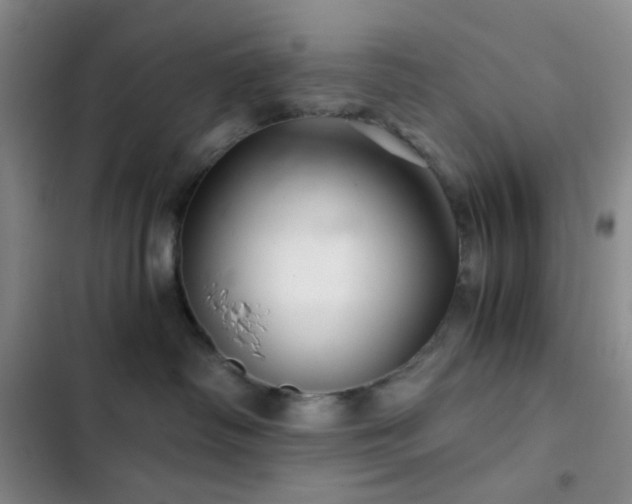 X0000103220334200808281413