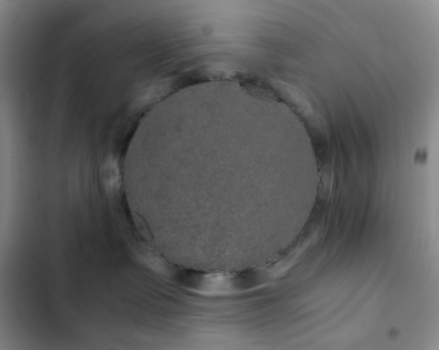 X0000103220335200808281413