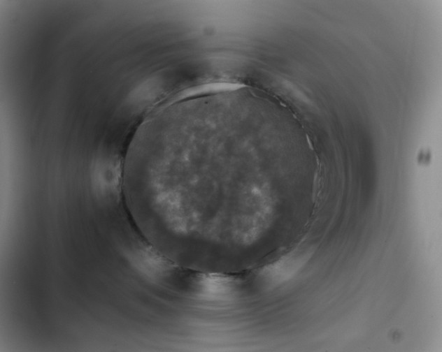 X0000103220336200808281413