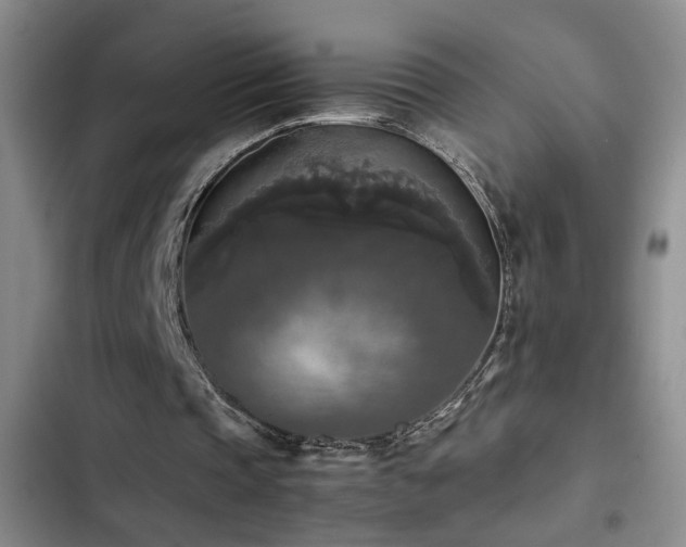 X0000103220337200808281413