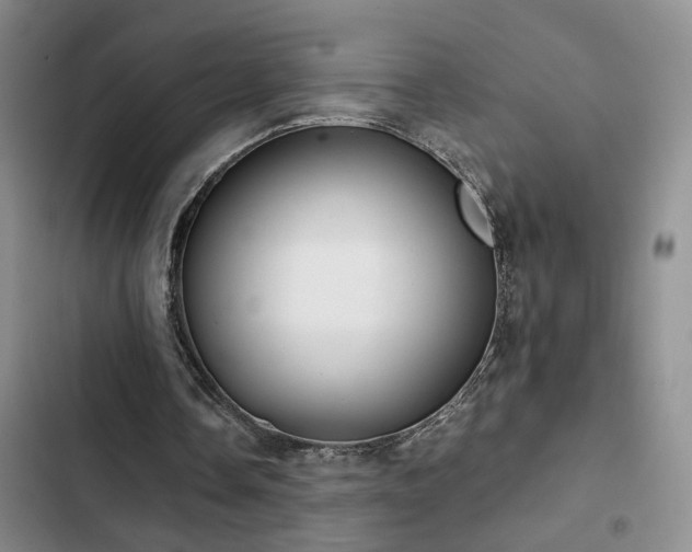 X0000103220338200808281413