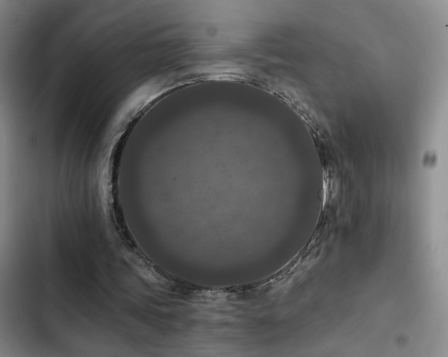 X0000103220339200808281413