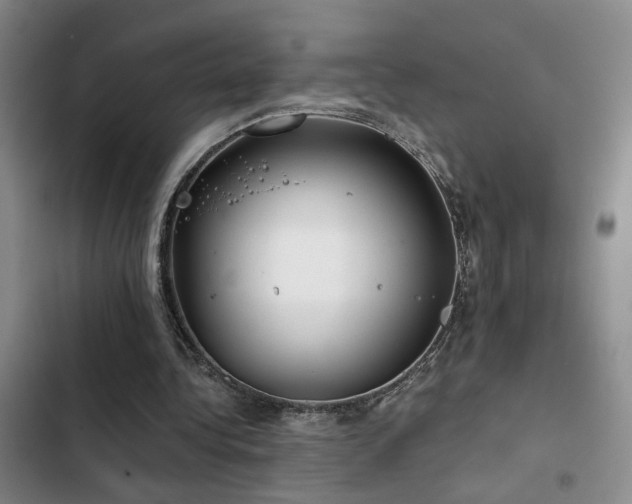 X0000103220340200808281413