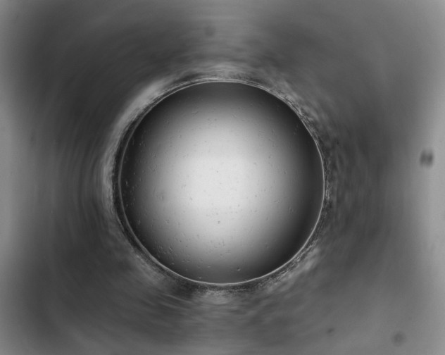 X0000103220341200808281413