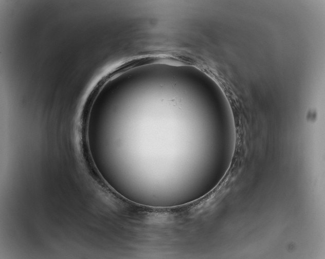 X0000103220342200808281413