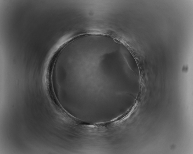 X0000103220343200808281413