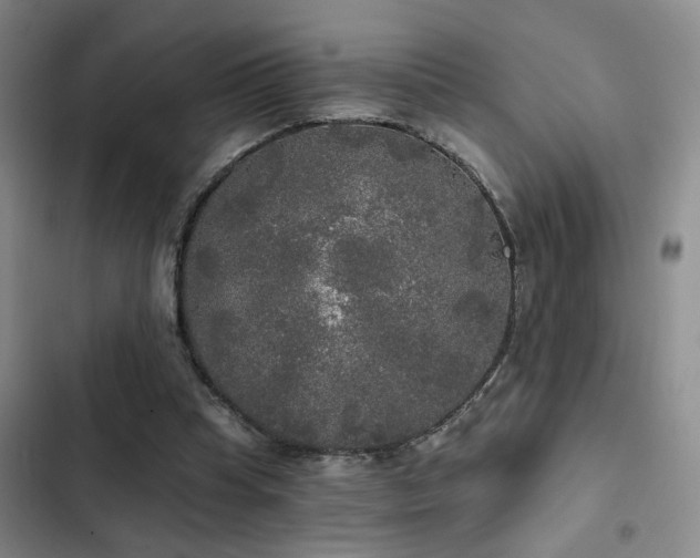 X0000103220345200808281413